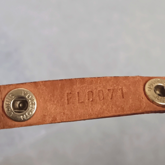 Louis Vuitton ✨️EUC Pochette Florentine Bumbag THE PERFECT BUMBAG - Picture 8 of 17